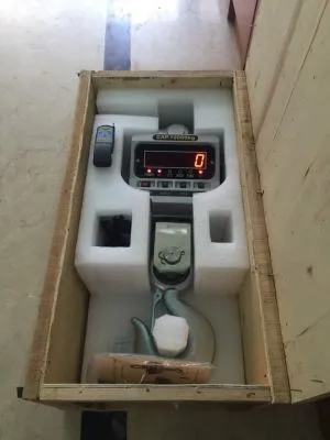 can-treo-dien-tu-2-tan-gia-re