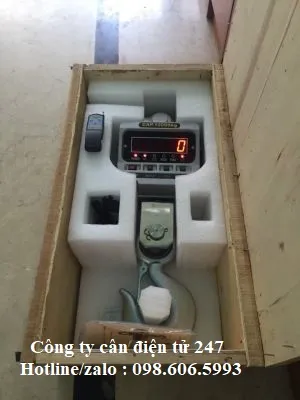 can-treo-dien-tu-10-tan-gia-bao-nhieu