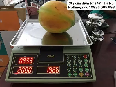 can-tinh-gia-tinh-tien-QUA-910-30-kg-gia-re-nhat-ha-noi