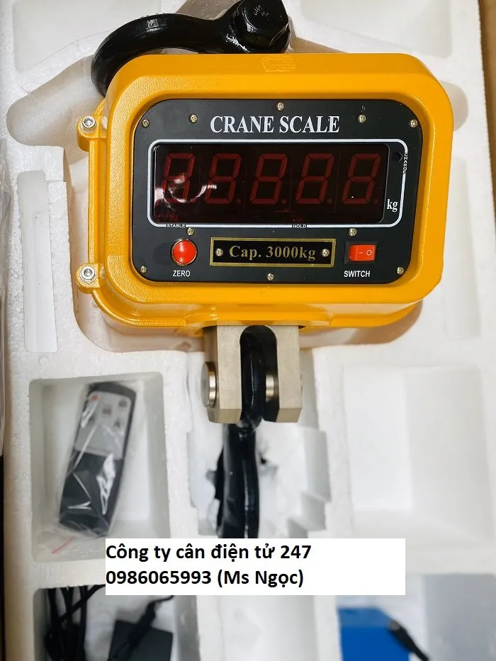 Cân treo điện tử XZ2 30 tấn