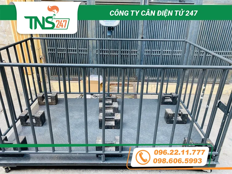 Cân sàn động vật 2 tấn giá tốt nhất thị trường