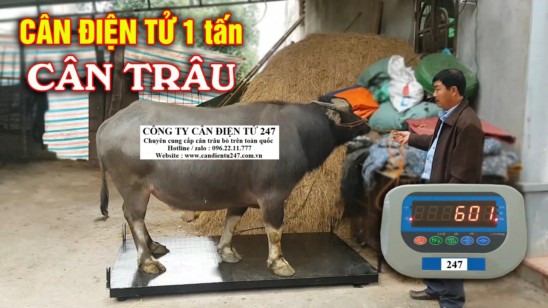 Cân trâu bò điện tử 1 tấn giá tốt nhất tại hà nội