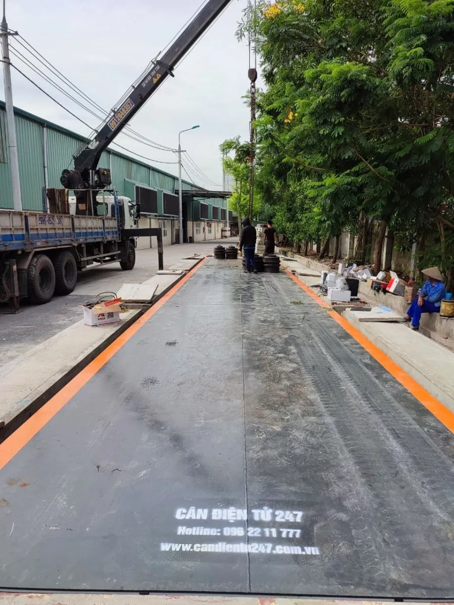 mong-can-100-tan-18m-dang-chim