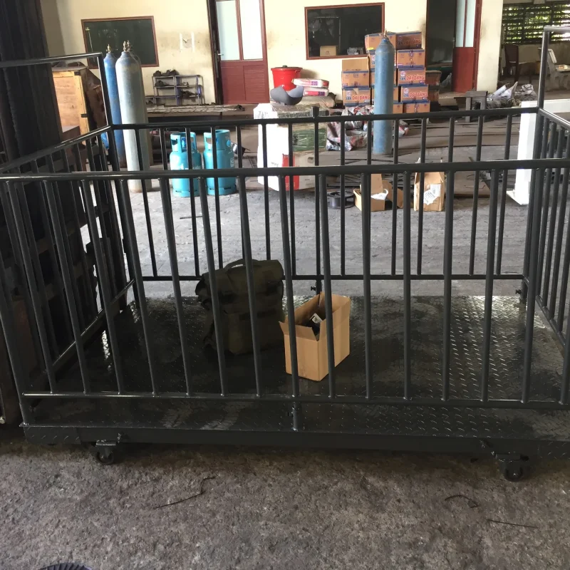 Cân sàn điện tử 3 tấn chính hãng giá rẻ uy tín