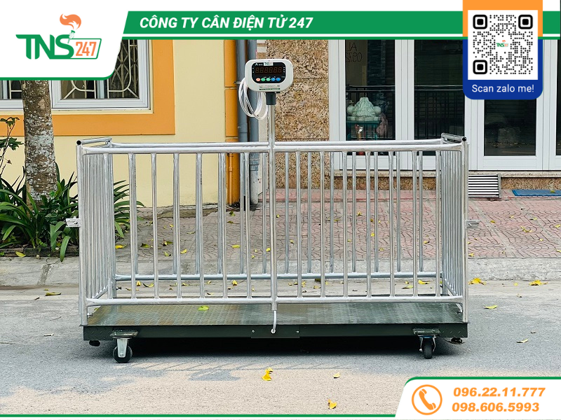 can-san-dien-tu-HP-W501-500-kg-uy-tin-chat-luong-gia-tot-nhat-ha-noi